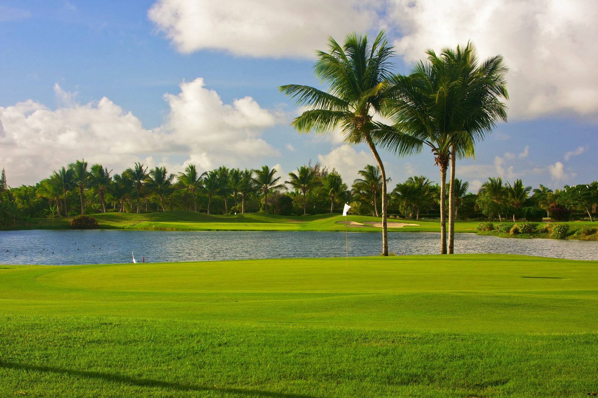 Royal Service At Paradisus Palma Real (Adults Only) Punta Cana Kültér fotó